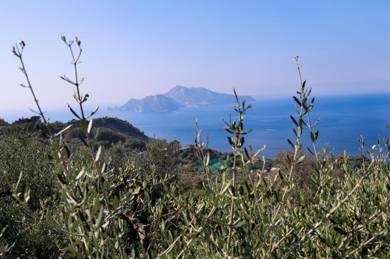 Villa Italia Sorrento Termini Exterior foto